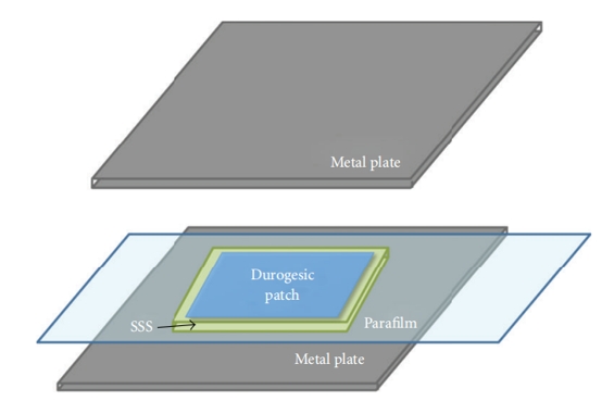 Methods of in vitro release testing of transdermal formulations.